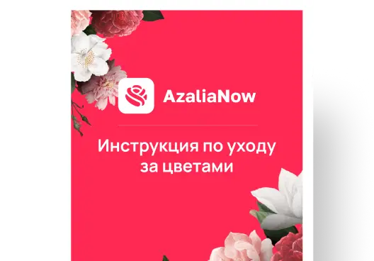 Картинка Инструкция