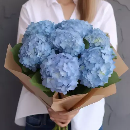 Цветы по гороскопу. Как выбрать букет для Весов?