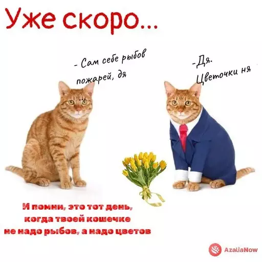 Подготовка к 8 марта. Как все успеть?