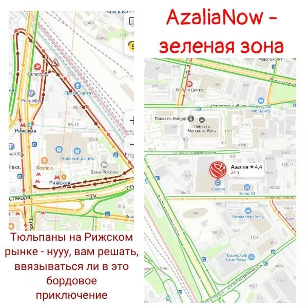 AzaliaNow зеленая зона