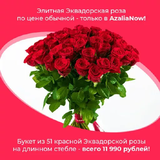 Элитный букет – 51 роза из Эквадора по самой низкой цене