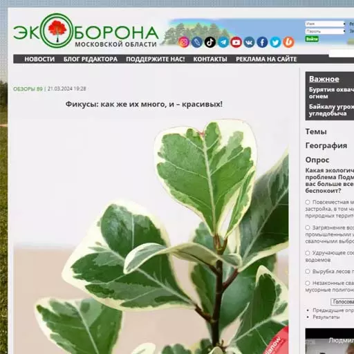 Мы на www.ecmo.ru Мы в СМИ www.ecmo.ru