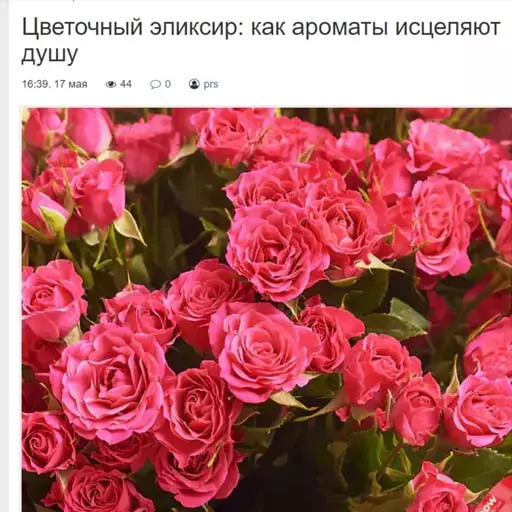 Мы на pandoraopen.ru Мы в СМИ pandoraopen.ru