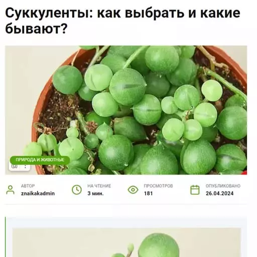 Мы на znaikak.ru Мы в СМИ znaikak.ru