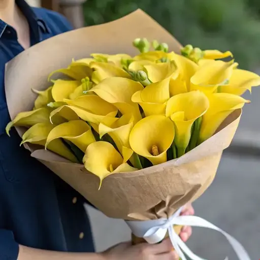 Солнечные каллы, AzaliaNow