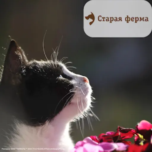 Старая Ферма. Товары для животных