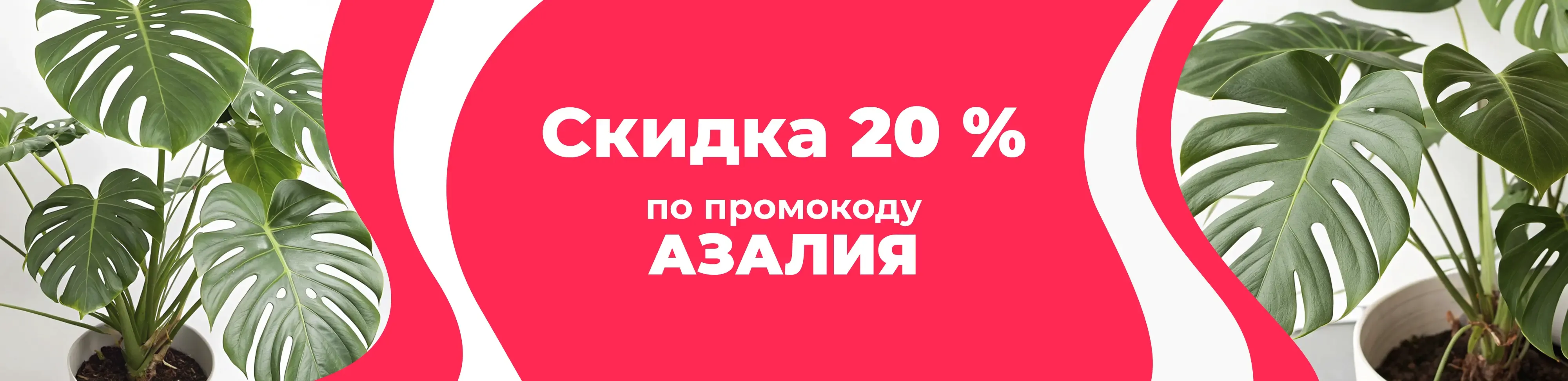 Баннер для рубрики: Монстеры 