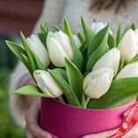 Маленькое фото 2: Букет из 9 белых тюльпанов с зеленью в малиновой коробке, Россия
