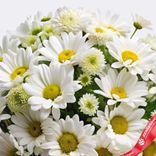 Маленькое фото 2: Букет из 9 кустовых белых хризантем , Голландия