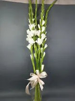Фото флориста 6: Букет из 5 белых гладиолусов