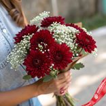 Маленькое фото 1: Яркий букет из 7 темно-красных хризантем с гипсофилой «Шарм»