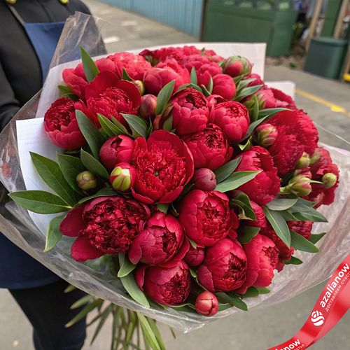 Букет из 50 красных пионов в пленке