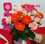 Фото флориста 5: 11 кустовых роз микс, Голландия