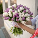 Маленькое фото 1: 101 сиреневый и белый тюльпан, Россия