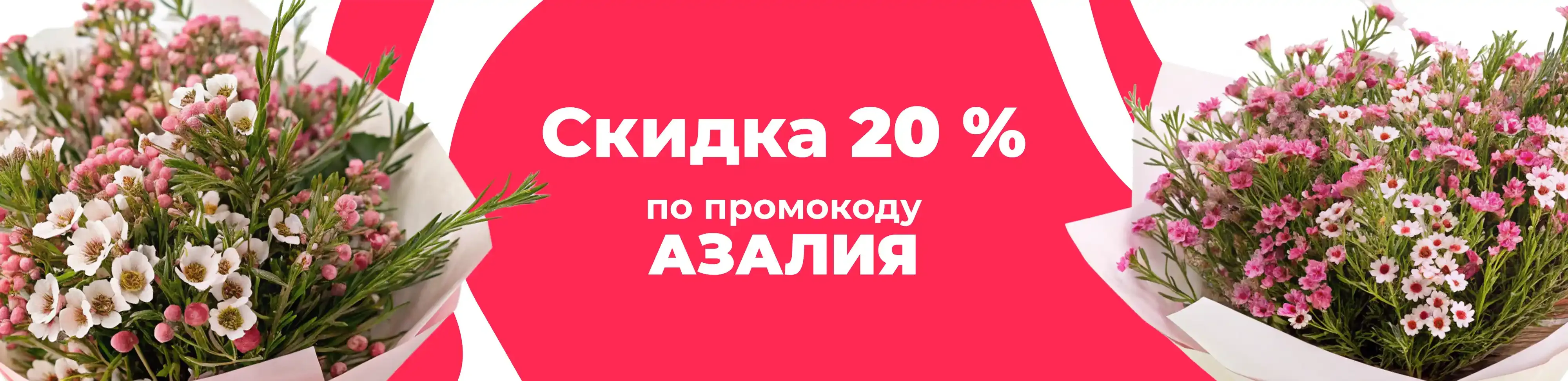 Баннер для рубрики: Хамелациумы