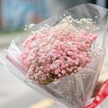 Маленькое фото 2: Букет из 7 розовых гипсофил в пленке