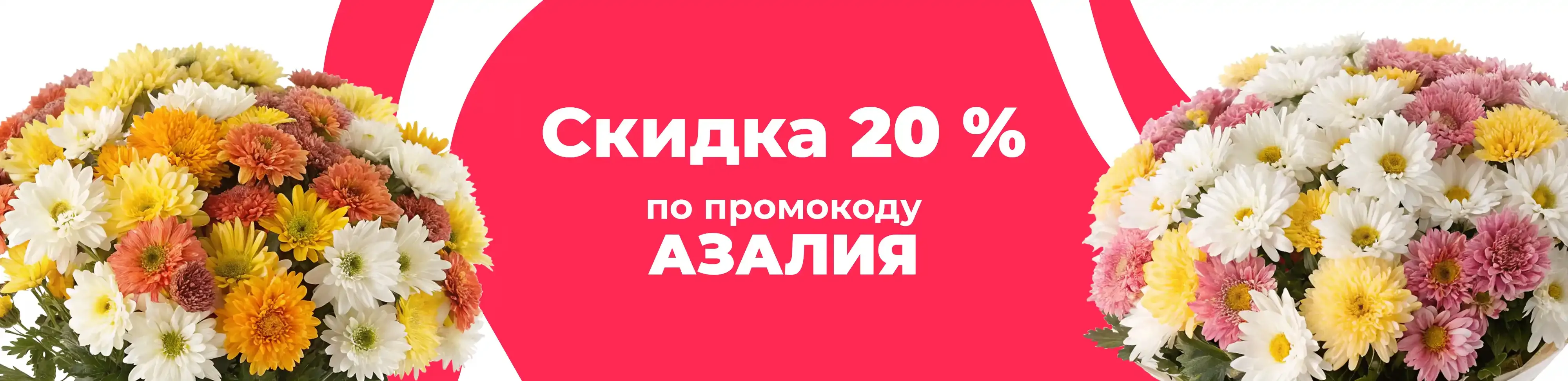 Баннер для рубрики: Хризантемы корейские