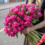 Маленькое фото 1: Букет из 50 пионовидных малиновых тюльпанов, Голландия