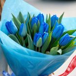 Маленькое фото 2: Букет из 9 голубых тюльпанов в голубой пленке, Россия