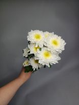 Фото флориста 5: 1 белая кустовая хризантема