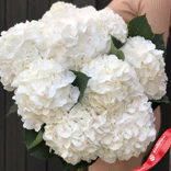 Маленькое фото 3: Акция! Большой букет из 9 гортензий. Цвет на выбор: белые, розовые, синие