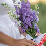 Маленькое фото 2: Букет из 9 сиреневых дельфиниумов с белой лентой