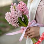 Маленькое фото 1: Букет из 3 гиацинтов с лентой