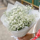 Маленькое фото 1: Букет из 5 белых гипсофил в белой пленке
