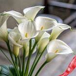 Маленькое фото 1: Букет из 9 калл «Очаровательный Каллас»