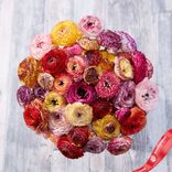 Маленькое фото 1: Луковицы ранункулюса «Пикоти»