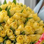 Маленькое фото 3: Букет из 50 пионовидных желтых тюльпанов, Голландия
