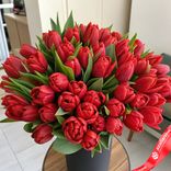 Маленькое фото 1: Букет из 55 пионовидных красных тюльпанов, Голландия