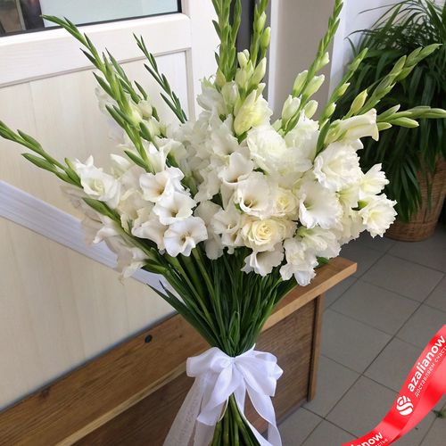 Букет из 19 белых гладиолусов с белой лентой