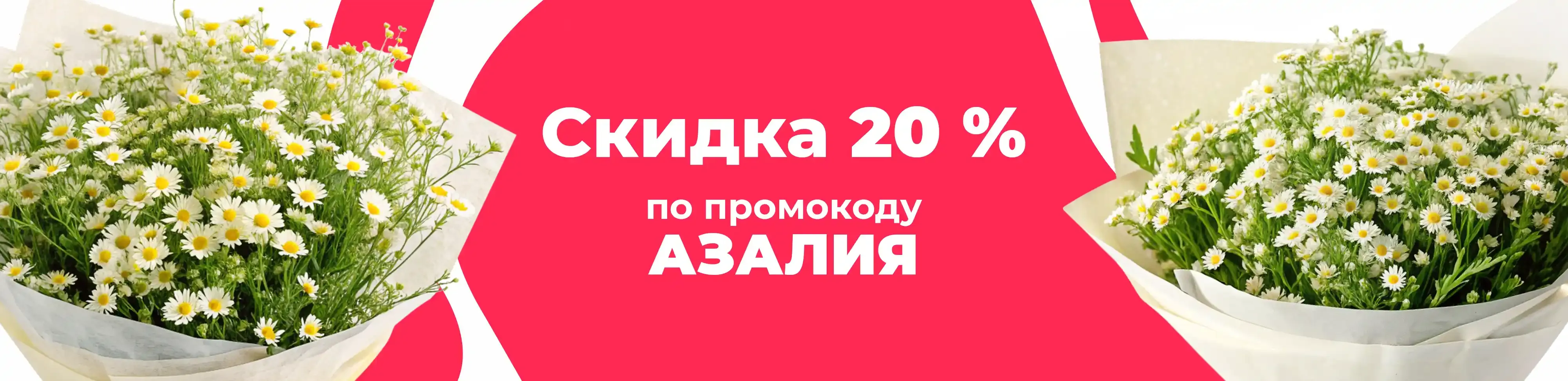 Баннер для рубрики: Танацетумы