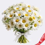 Маленькое фото 1: Букет из 9 кустовых белых хризантем с лентой, Ромашка, Голландия