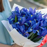 Маленькое фото 2: Букет из 25 синих ирисов в белой бумаге