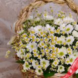 Маленькое фото 2: Акция! Букет из белых хризантем и ромашек в корзине