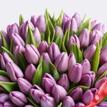 Маленькое фото 2: Букет из 60 сиреневых тюльпанов, Россия