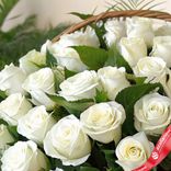Маленькое фото 5: Букет из 51 белой розы и зеленью в корзине, 50 см, Россия