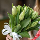 Маленькое фото 2: Букет из 9 зеленых тюльпанов с лентой, Россия