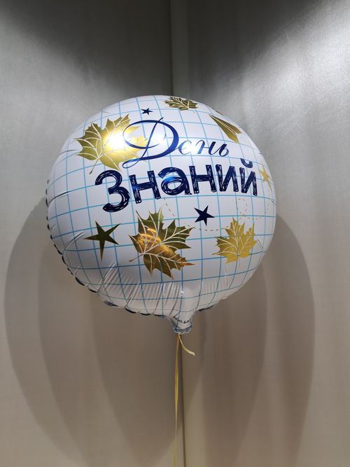 Фото флориста 6: Шары фигуры