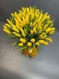 Фото флориста 1: 100 тюльпанов с желтой лентой
