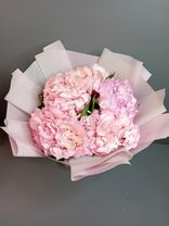 Фото флориста 6: Акция! Букет из 5 розовых гортензий «Облако»