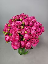 Фото флориста 5: Букет из 25 кустовых пионовидных розовых роз