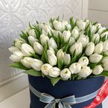Маленькое фото 2: Букет из 45 белых тюльпанов в темно-синей коробке