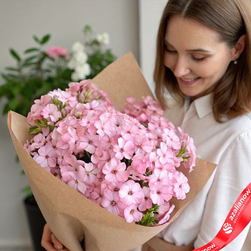 Букет из 15 розовых флоксов в крафте
