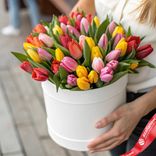 Маленькое фото 1: Букет из 33 тюльпанов микс в белой коробке, Россия