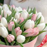 Маленькое фото 3: Букет из 33 белых и розовых тюльпанов в розовой коробке, Россия