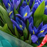 Маленькое фото 5: Букет из 45 синих ирисов в зеленой пленке