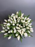 Фото флориста 1: 75 белых тюльпанов, Россия